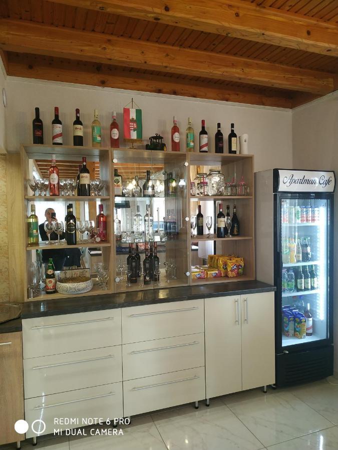 Tisza Panzio Es Apartman Tiszaújváros Exteriér fotografie